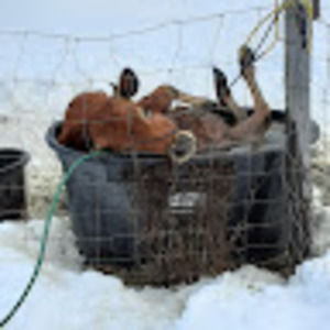 Meet your Posher, April